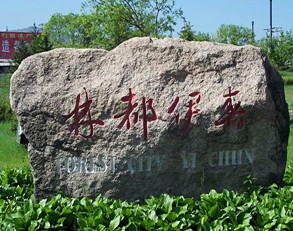 伊春變頻器